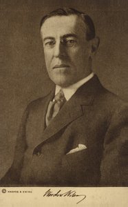 Woodrow Wilson (z/w foto) door Harris & Ewing