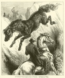 Een Dartmoor pony ontsnapt aan zijn achtervolgers door Harrison William Weir