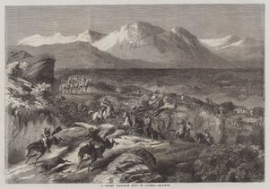 Een recente wilde zwijnenjacht in Algerije