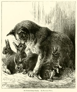 Een Buitengewoon Gezin door Harrison William Weir