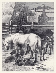 Dieren in de Kraal