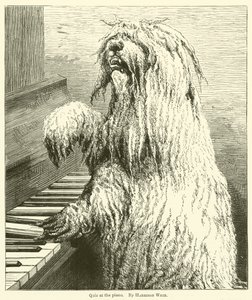 Quiz aan de piano