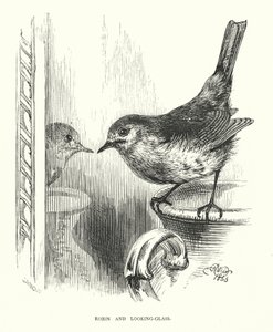 Robin en de Spiegel (gravure) door Harrison William Weir