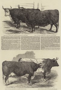 De Jaarlijkse Tentoonstelling van de Smithfield Club