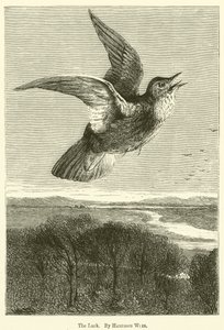 De leeuwerik