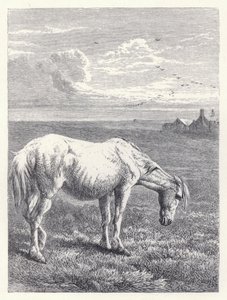 Het oude paard door Harrison William Weir