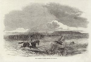 De Waterloo Coursing Meeting