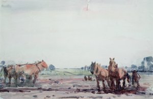 Ploegpaarden