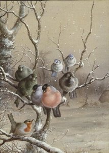 Vogels op een Besneeuwde Tak door Harry Bright