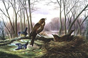 De Heraut van de Lente
