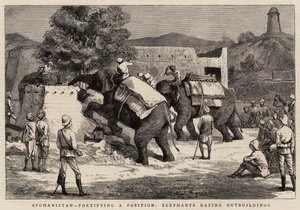 Afghanistan, een Positie Versterken, Olifanten Slopen Bijgebouwen door Harry Hamilton Johnston