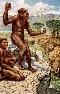 Neanderthaler Mensheid