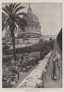 Sint-Pieter gezien vanuit een hoek van de Italiaanse tuin van het Vaticaan