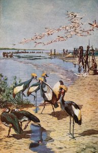 De Noordelijke Kusten van het Tsjaadmeer, gezien door Denham in 1822 door Harry Hamilton Johnston