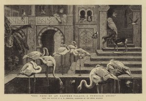 De Huisdieren van een Oosters Paleis, een Tunesische Studie door Harry Hamilton Johnston