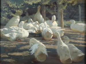 Zonlicht en schaduw door Harry Percy Clifford