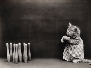 Kittieserie: Bowlen, c.1914 (zilverdruk)