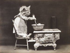 Kittieserie: Kok aan het fornuis, c.1914 (zilverdruk)