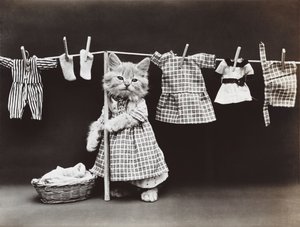 Kittieserie: Wasserij drogen, c.1914 (zilverdruk)