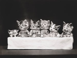Kittieserie: Laatste avondmaal, c.1914 (zilverdruk)