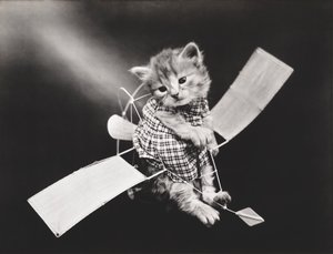 Kittieserie: Vliegende piloot, c.1914 (zilverdruk)