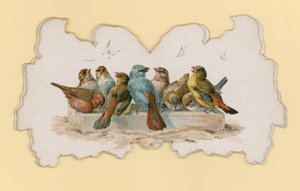 Vogels (kleur litho) door Hector Giacomelli