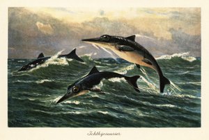 Uitgestorven ichthyosauriërs springen boven de oceaan