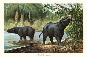 Moeritherium, uitgestorven geslacht van proboscidean van het Eoceen door Heinrich Harder