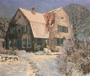 Huis en tuin onder sneeuw