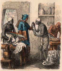 Oud Egypte: Dieren balsemen, 1866