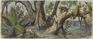 Overstromingen in Oost-India (gekleurde gravure)