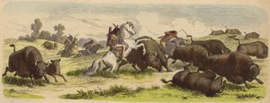 Inheemse Amerikanen te paard jagen op buffels (gekleurde gravure)