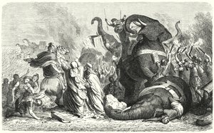 De Slag bij Asculum, 279 v.Chr.