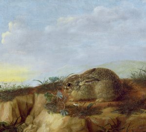 Een Haas in een Landschap