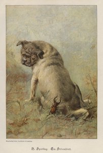 Een onruststoker door Heinrich Sperling