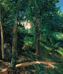 Kasteeltuinen in Lichtenberg in de Odenwald door Heinrich Wilhelm Trübner