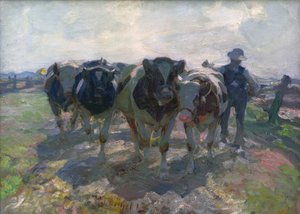 Boer met koeien
