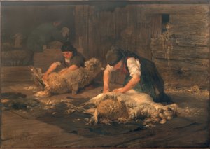 Het Scheren van de Schapen