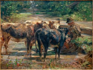Herder met kalveren