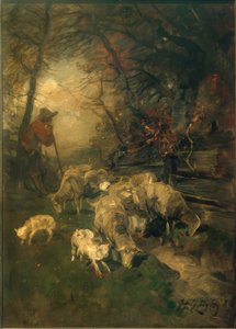 Herder met Schapen