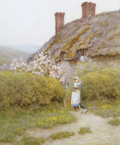 Een Cottage in Dorset