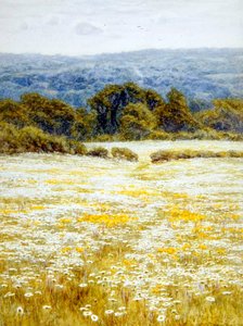 Margrieten, nabij Westerham, Kent door Helen Allingham