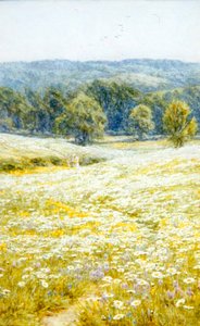 Margrieten, nabij Westerham, Kent