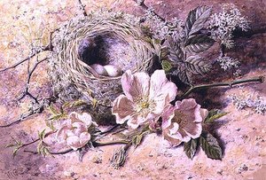 Bloesem en vogelnest door Helen Cordelia Coleman Angell