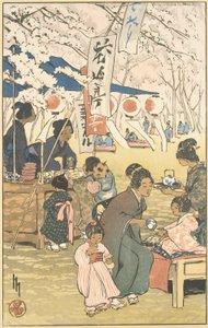 Bloesemtijd in Tokio