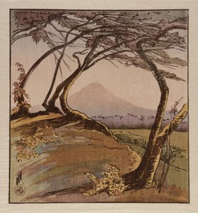 De berg Orizaba door Helen Hyde
