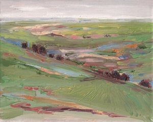 Over Heuvels, 2008