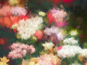 Tuin van het Hart door Helen White