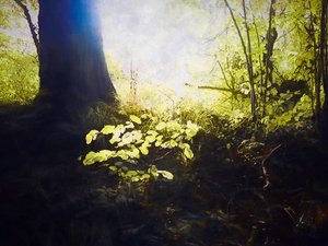 Heilige Plaats, 2018 door Helen White