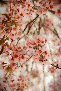 Orientalis door Helen White